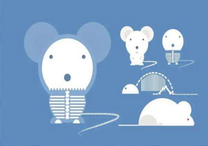 造模實驗-心血管類研究模型